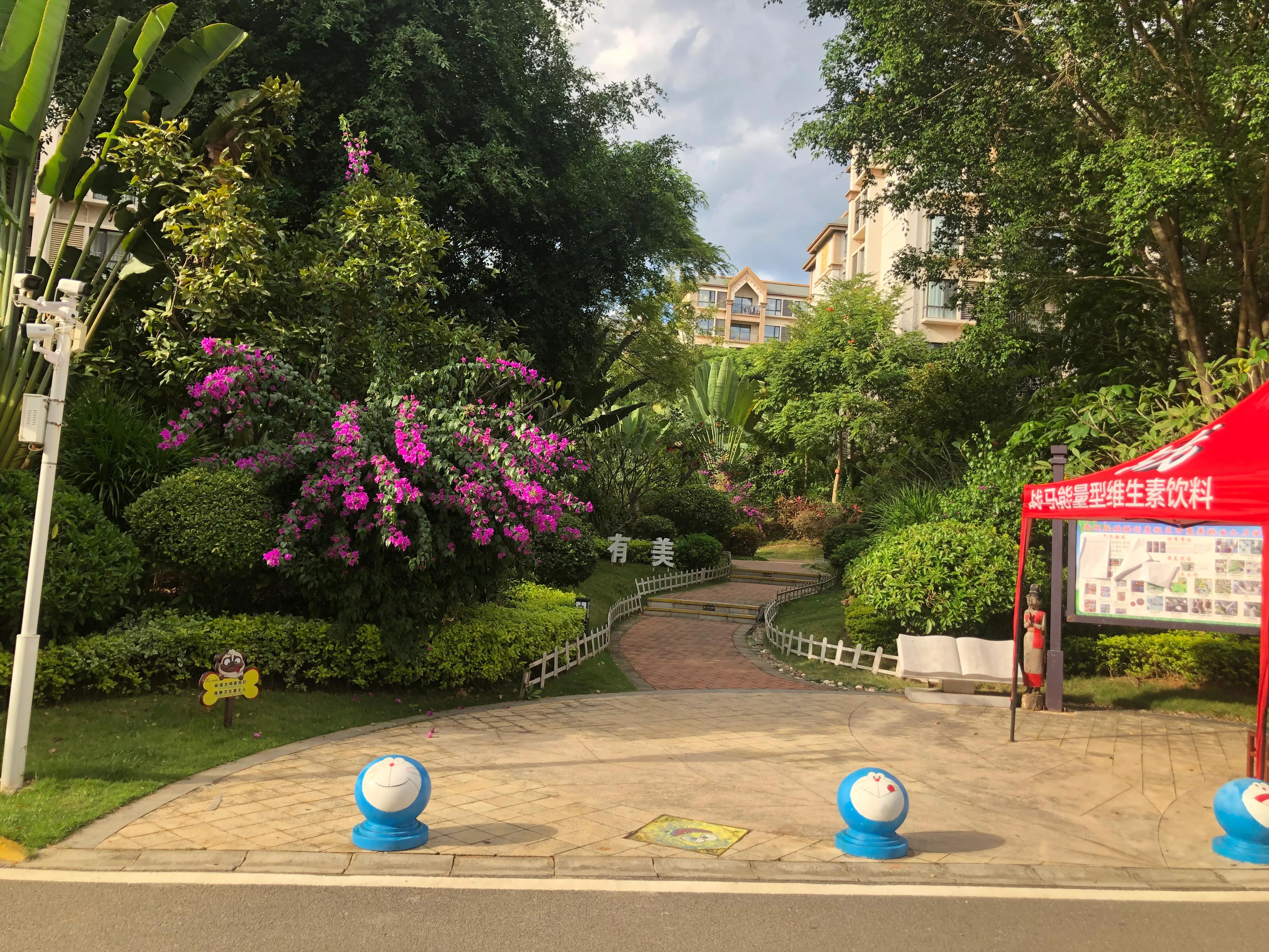 西双版纳旅居租房一室一厅,西双版纳旅居租房攻略万达