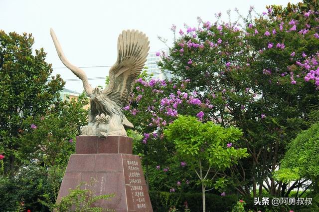 滕州一中全部名单,滕州一中百年名校