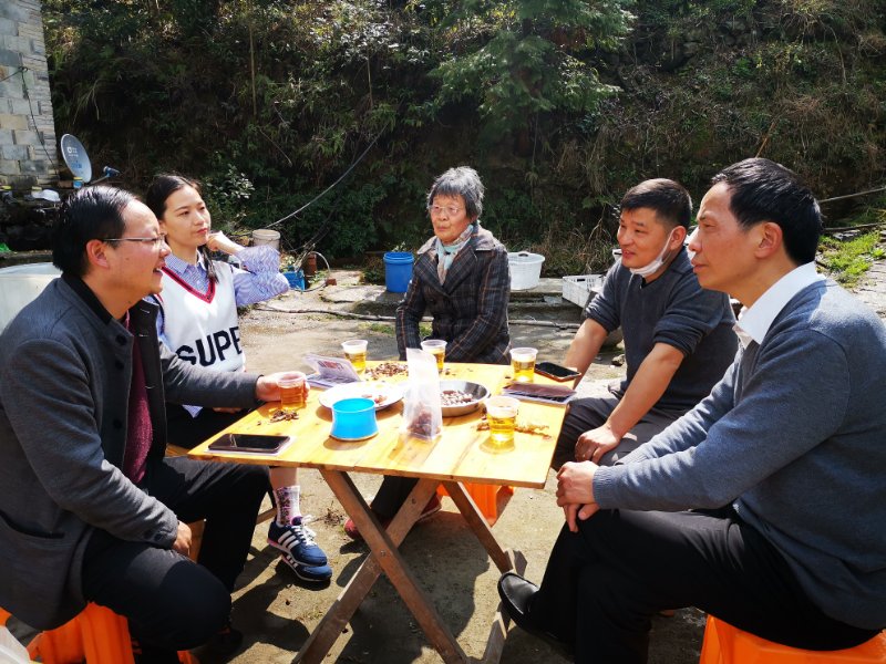 四明山哪座山上有黄精,四明山哪里有山黄精