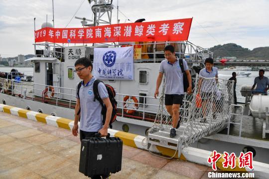 鲸类抹香鲸,搁浅抹香鲸成功放归深海首次成功