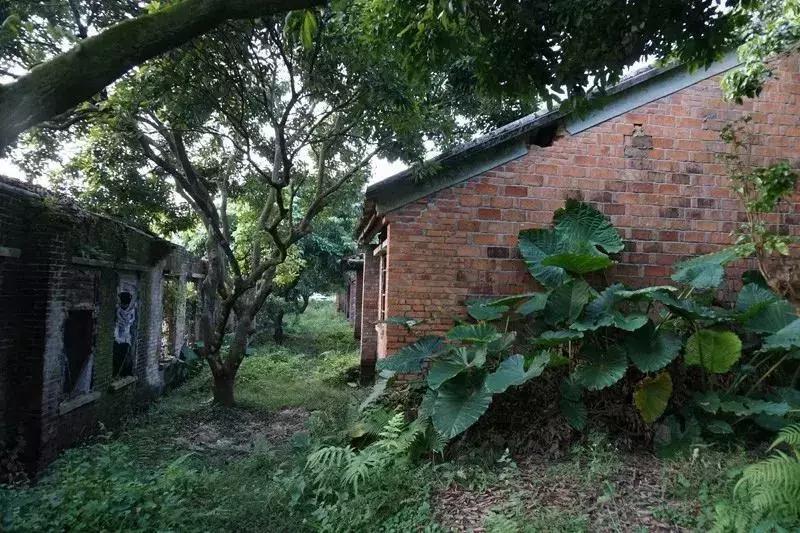 放弃世界顶尖银行工作,他回村当木匠,在废墟上盖出了爆美小院!