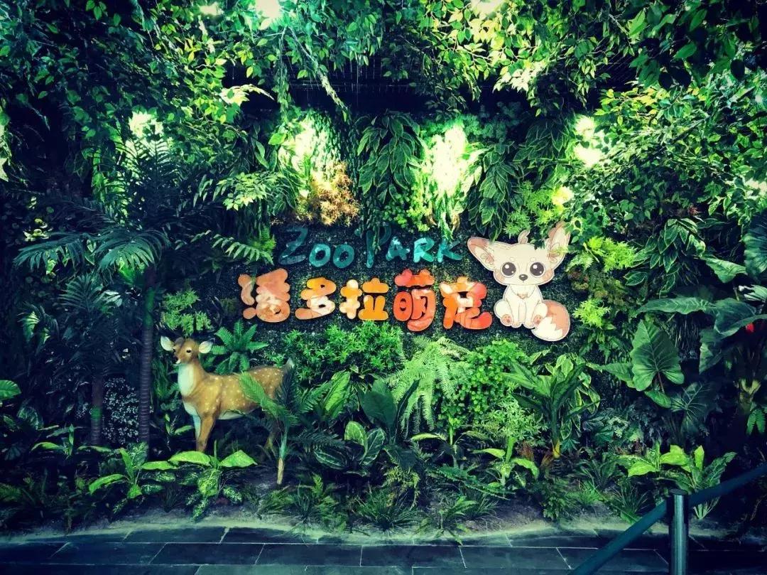 郑州奥林匹克公园萌宠乐园,郑州萌宠乐园长什么样子