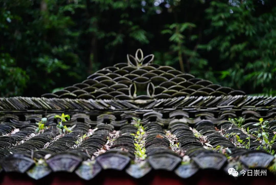 崇州粉蒸肉哪家好吃,崇州味道