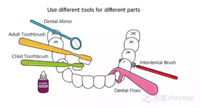 防止牙菌斑正确刷牙方法,清除牙菌斑的刷牙方法