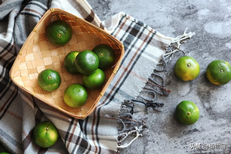 柑橘去酸最好的方法,柑橘成熟后是酸的怎么变甜