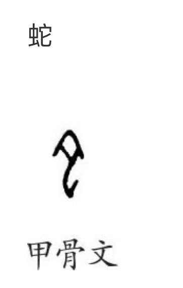 考古历史未解之谜甲骨文,考古十大存疑