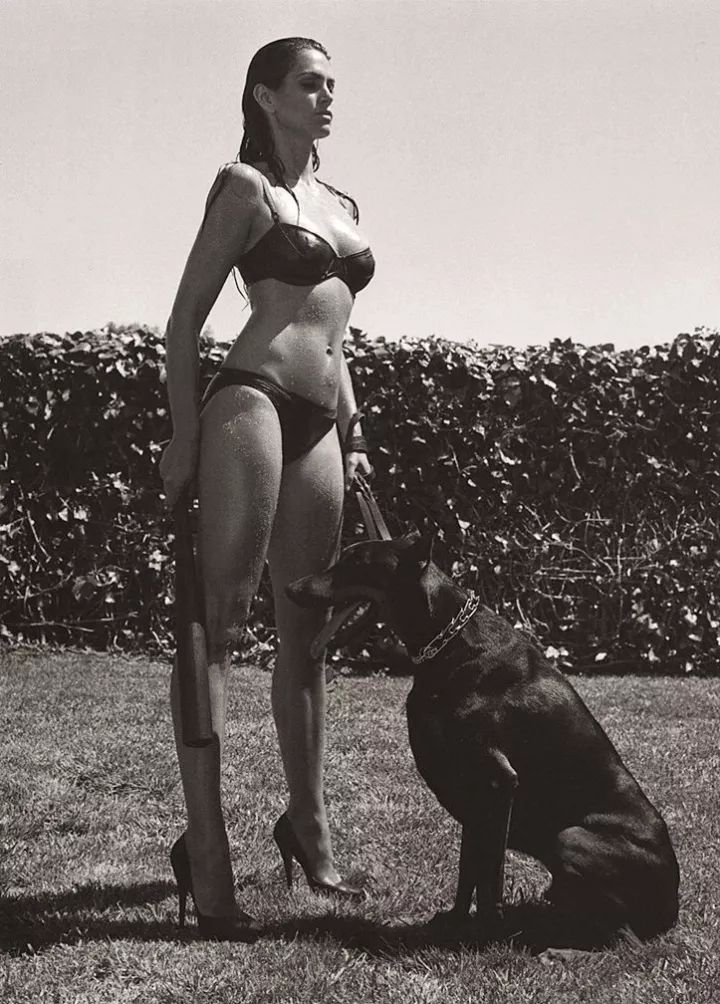 犬的记忆｜世界摄影经典