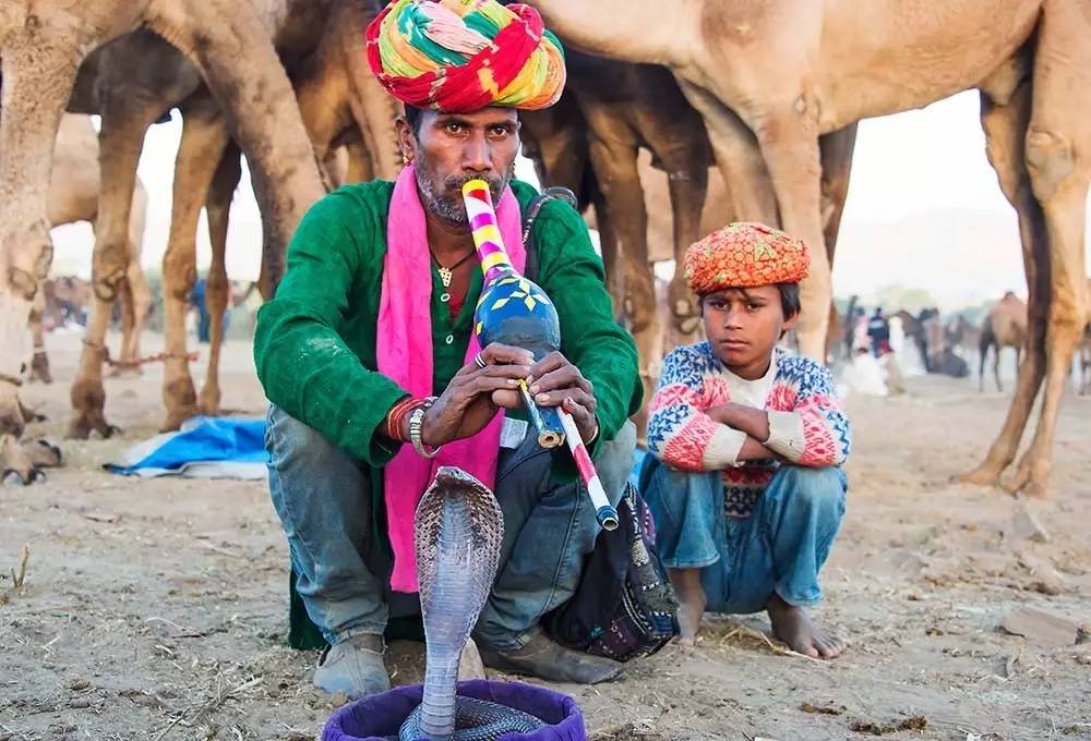 现在的印度真实的情况,印度是如何分裂的