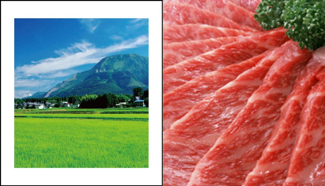 日本和牛哪个级别口感最好,日本和牛优势