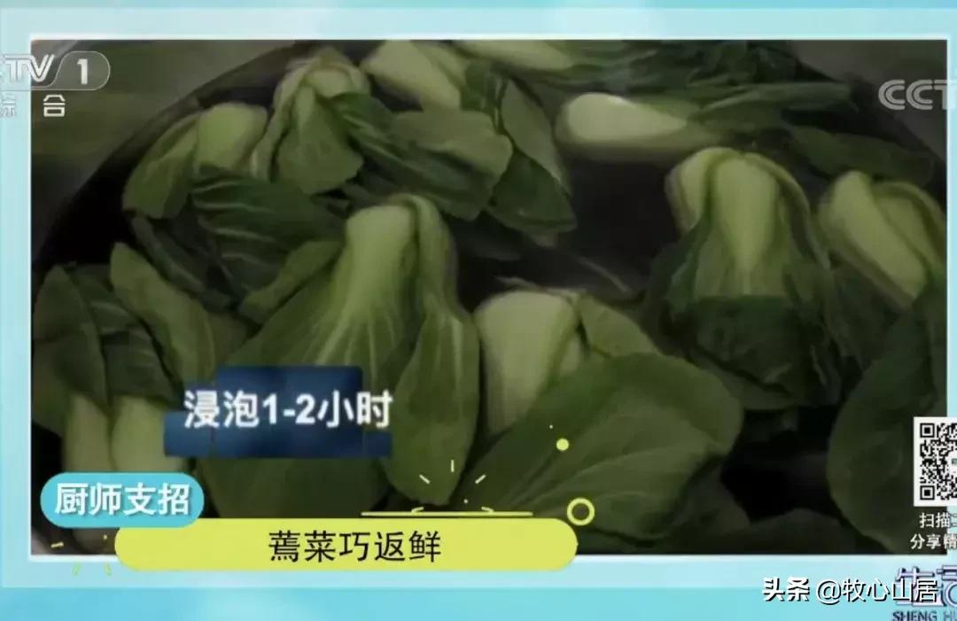 蔬菜蔫了可以怎么利用,蔬菜蔫了怎么办