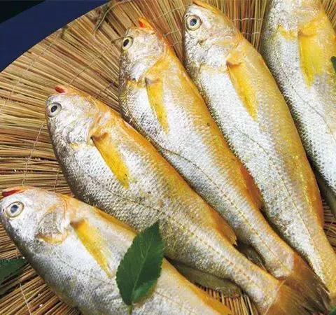 开海特价海鲜,开海的海鲜视频