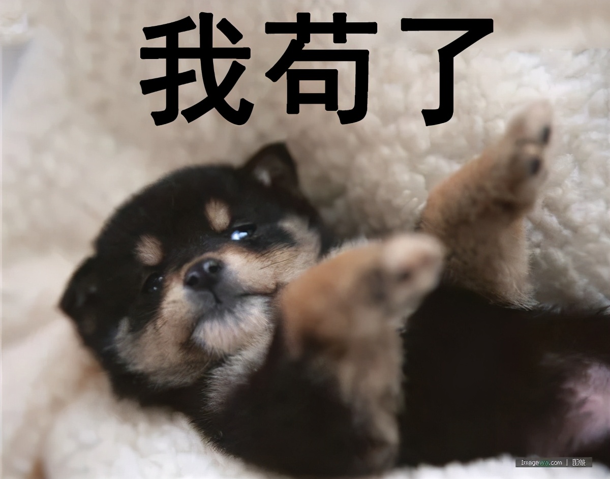 “你太苟了”表情包：做人就是要苟且偷生啦