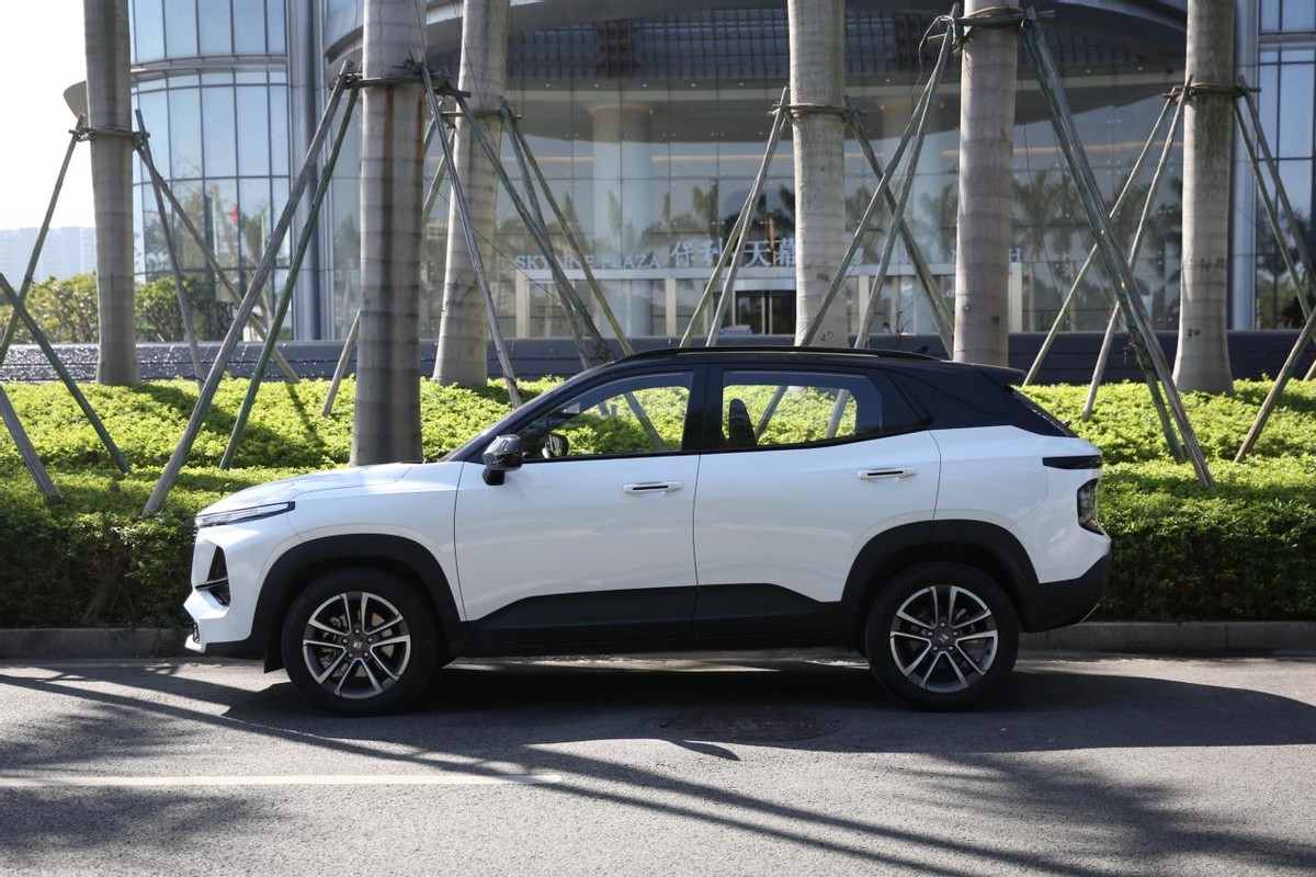 运动感轿跑,运动性能大轴距轻混车型推荐