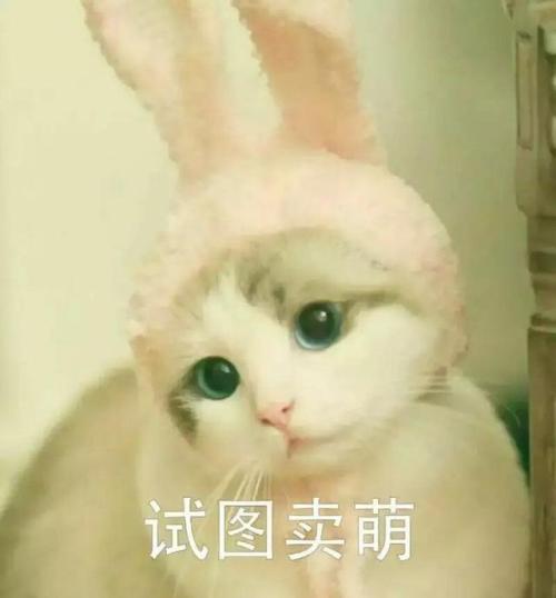 拼多多怎么开直通车推广比较好,拼多多直通车搜索和场景推广区别