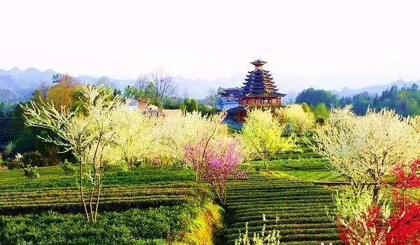 恩施，凭什么持续美哭全国，惊艳世界？