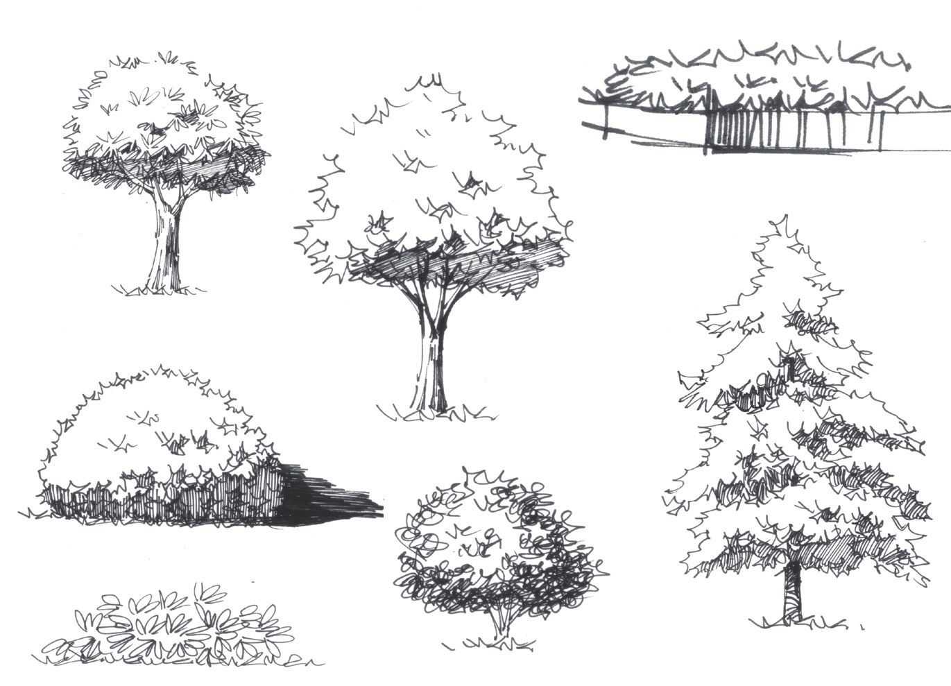 手绘画教程简单初学者上色,手绘画基础教程简单