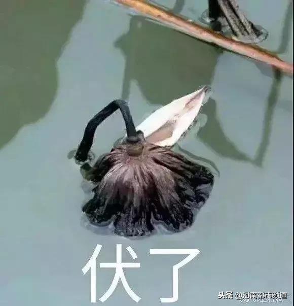 女子喝啤酒三瓶被查出来了,女子喝3瓶啤酒结果喝醉了