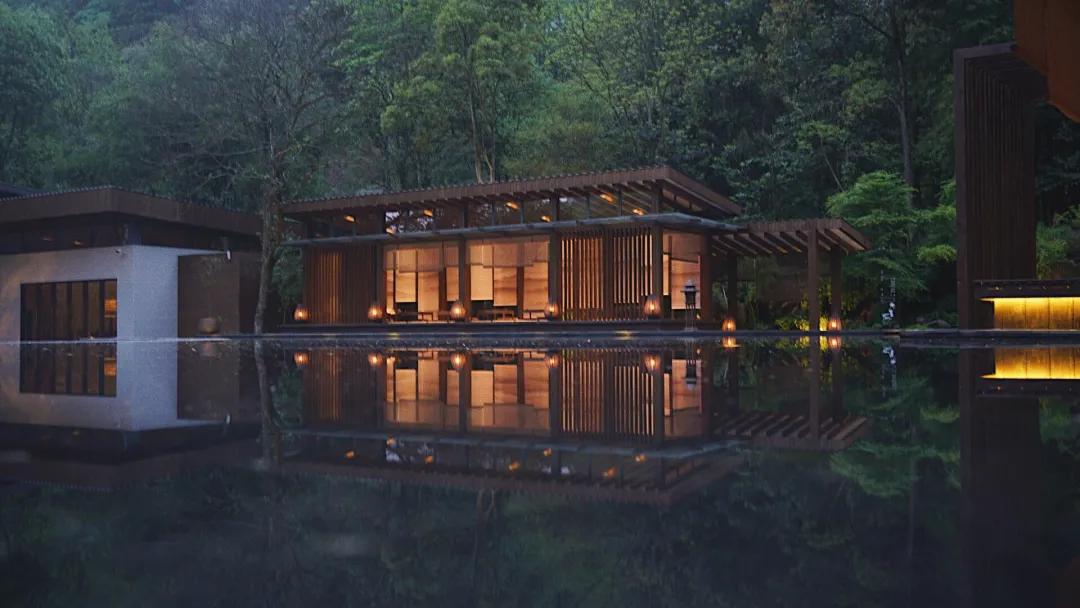 森林秘境的温泉,森林里野奢温泉度假酒店下午茶