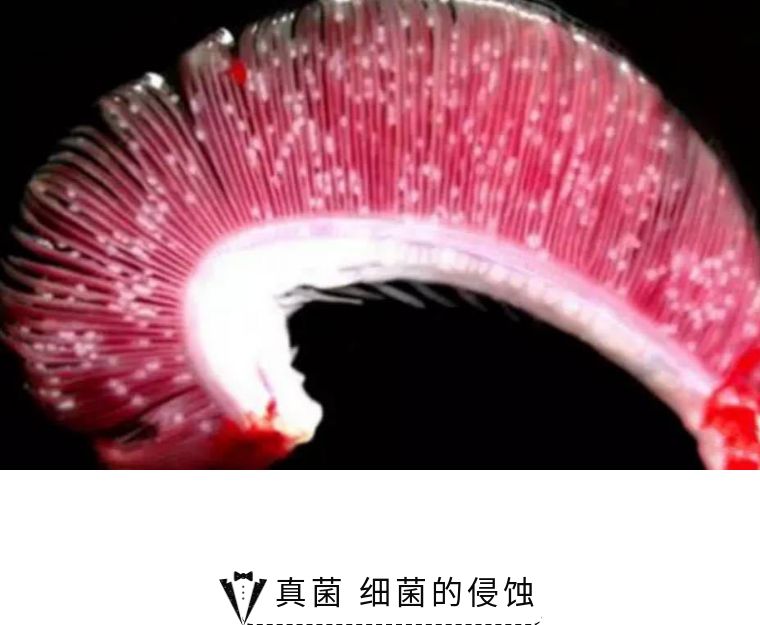 如何拯救海洋,该怎么拯救大海