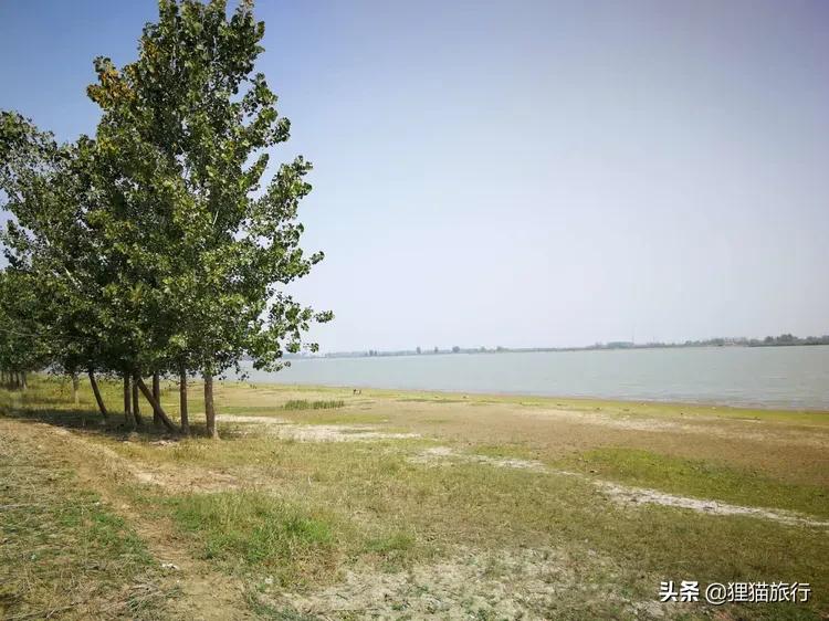 千里淮河第一镇,泊岗是安徽唯一的淮河岛乡吗