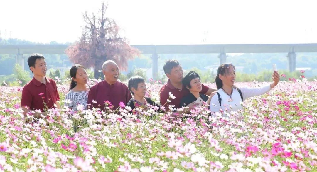 向往的田园生活的感悟,向往田园生活能让人内心宁静