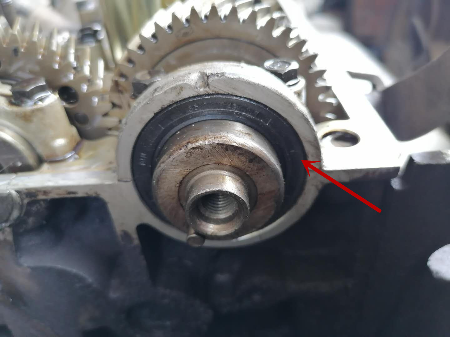 发动机漏油损伤皮带,发动机皮带断裂堵塞油底壳