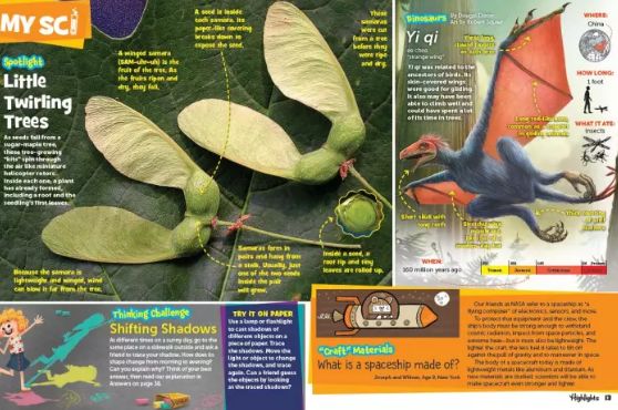 班主任推荐订的杂志，有些真是“一言难尽”|儿童杂志亲测