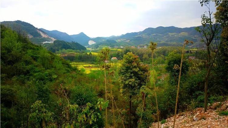 这里是勉县，一个让你流连忘返的地方