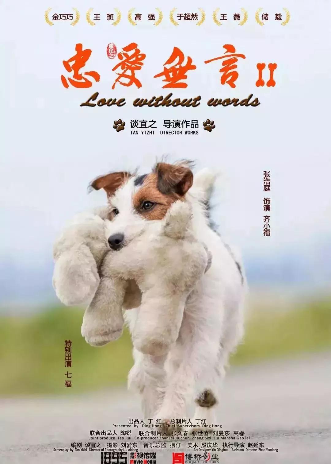 2019年的春节档电影列表,2018年春节档电影总结