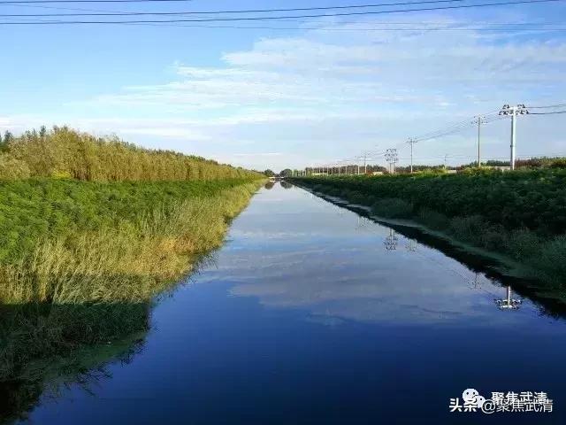 定了!武清这个镇被定为天津市特色文化产业示范镇