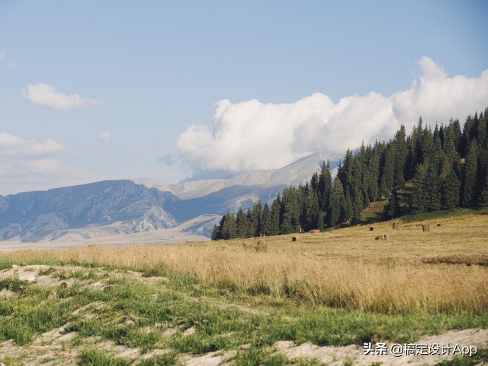 压箱底高清无水印壁纸,压箱底壁纸分享绿色护眼