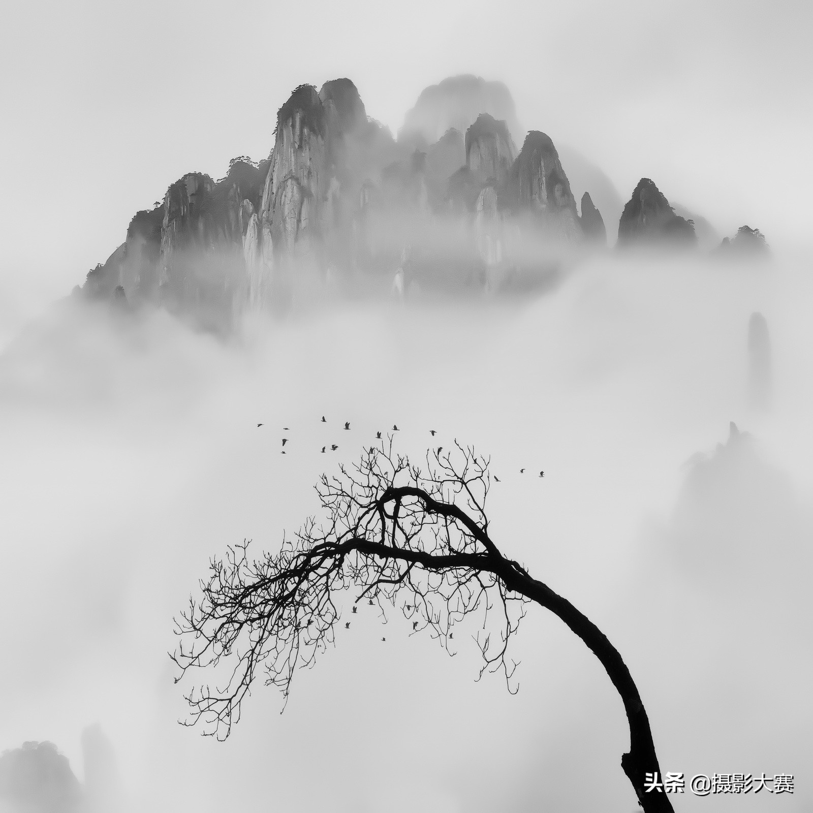 有你吗原版答案,有你吗视频完整版