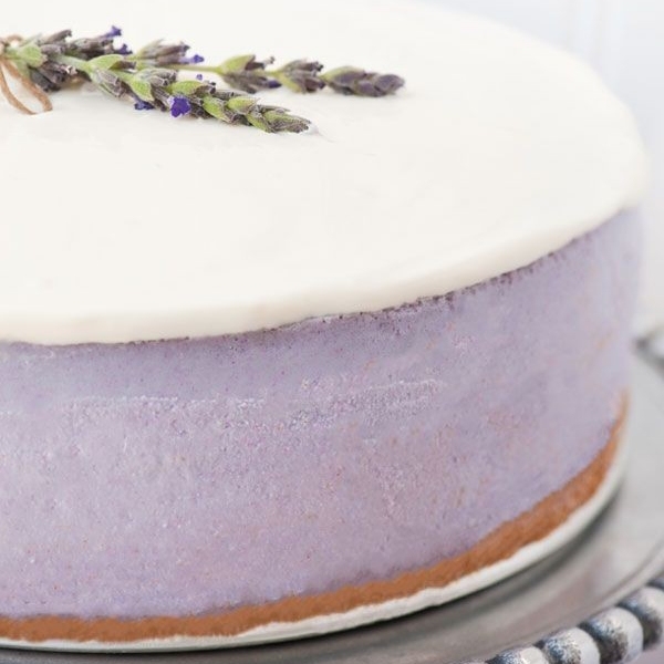 宝藏植物,植物薰衣草