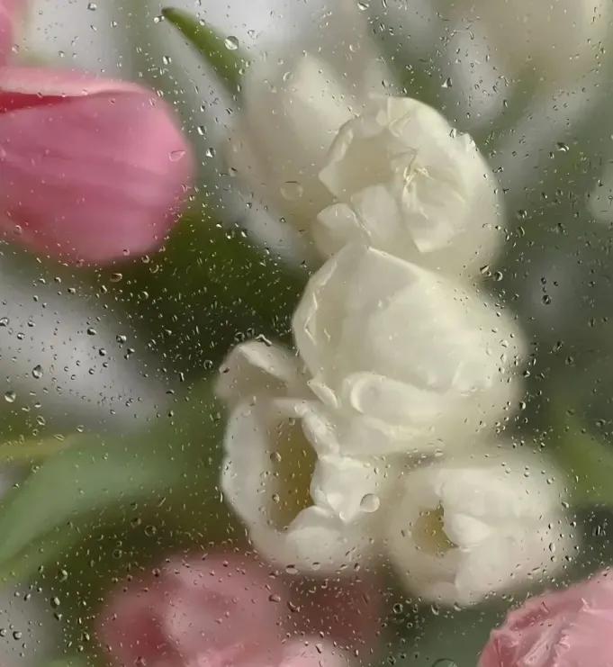 有哪些关于心动的文案,为一人心动文案