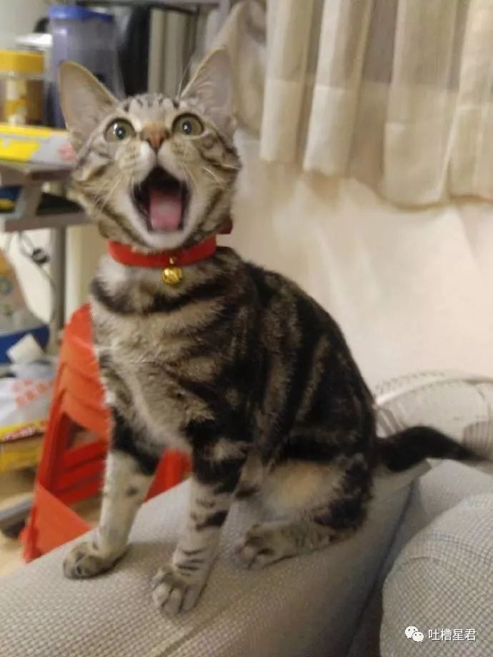 新注册微信测试男朋友被套路,新建个小号怎么试探男朋友