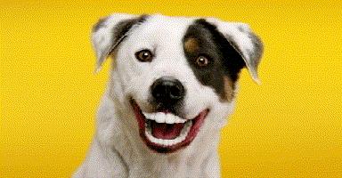 搞笑烫头图片,烫头搞笑图