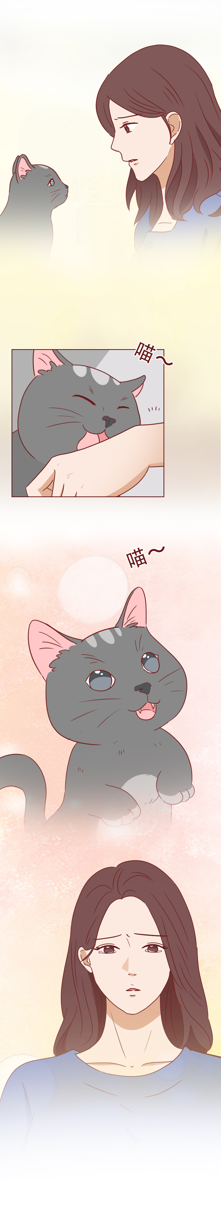 捡回来抑郁的猫,捡回一只小猫原居民抑郁了