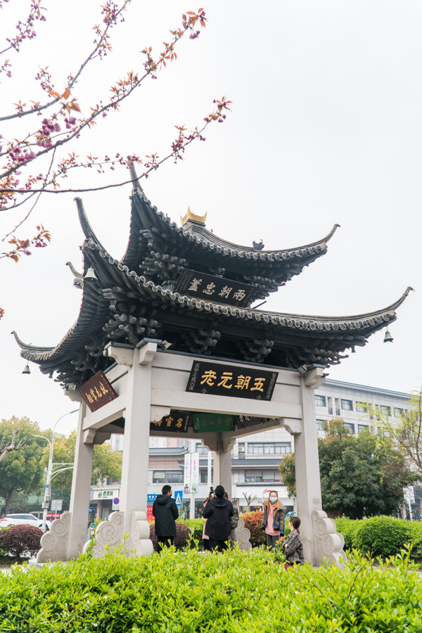 踏春赏花拍美景,踏春赏花逛湖