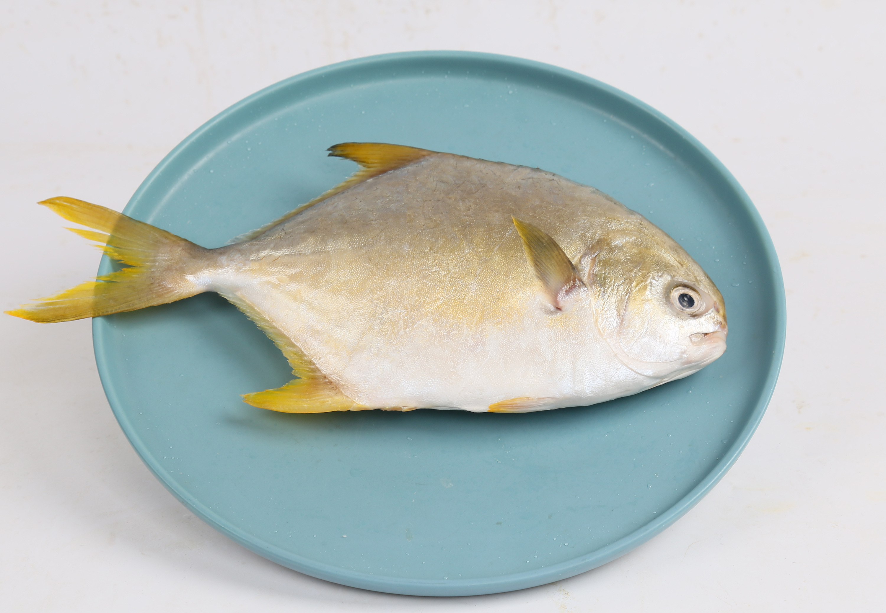 鱼粘锅怎么解决？具体问题具体分析，看这3大做法下的解决方法吧