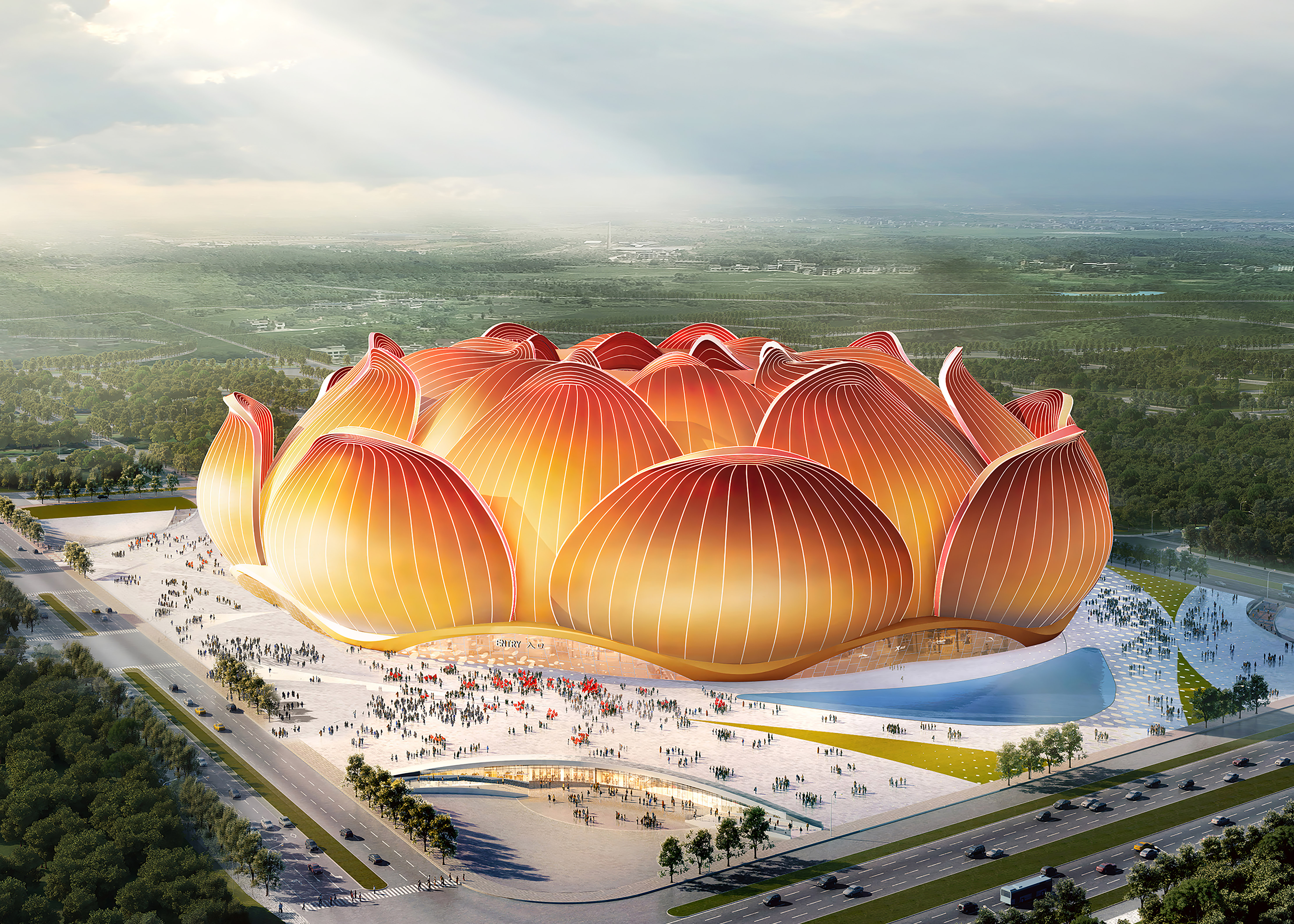 最美荷花盛开,广州恒大新足球场荷花