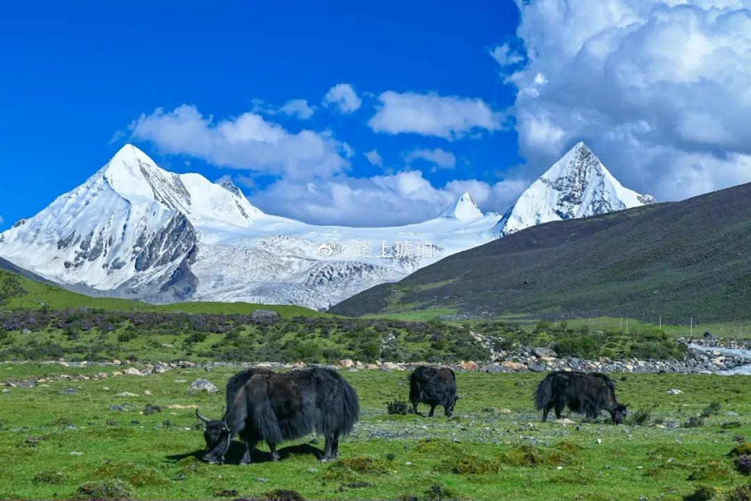 那曲锅庄舞,那曲鞋子店