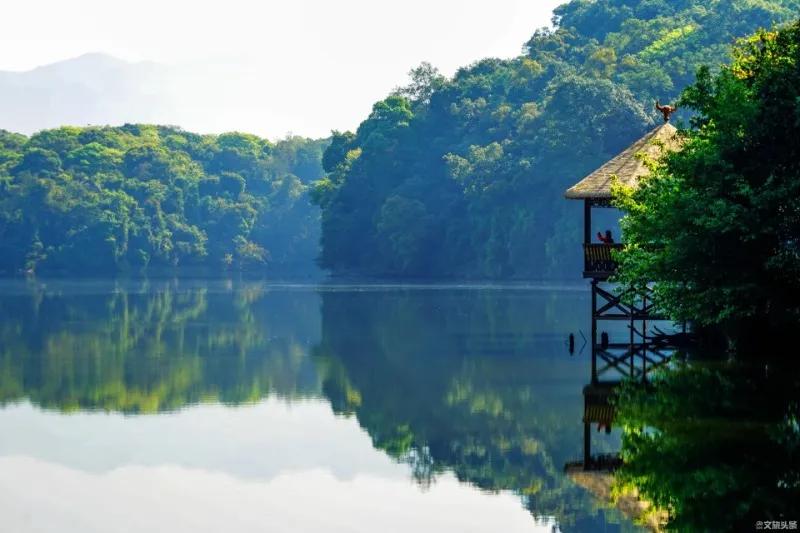 云南普洱旅游自由行攻略,云南普洱高端旅游攻略