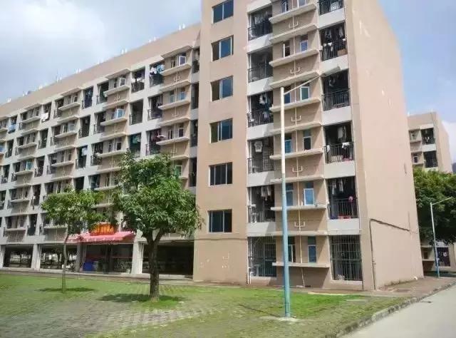 广东大学巡礼-广东工程职业技术学院