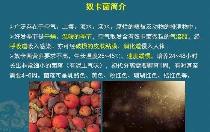 这个细菌提醒你,别买病死的鱼,它是个吃草的细菌,后来学会吃鱼