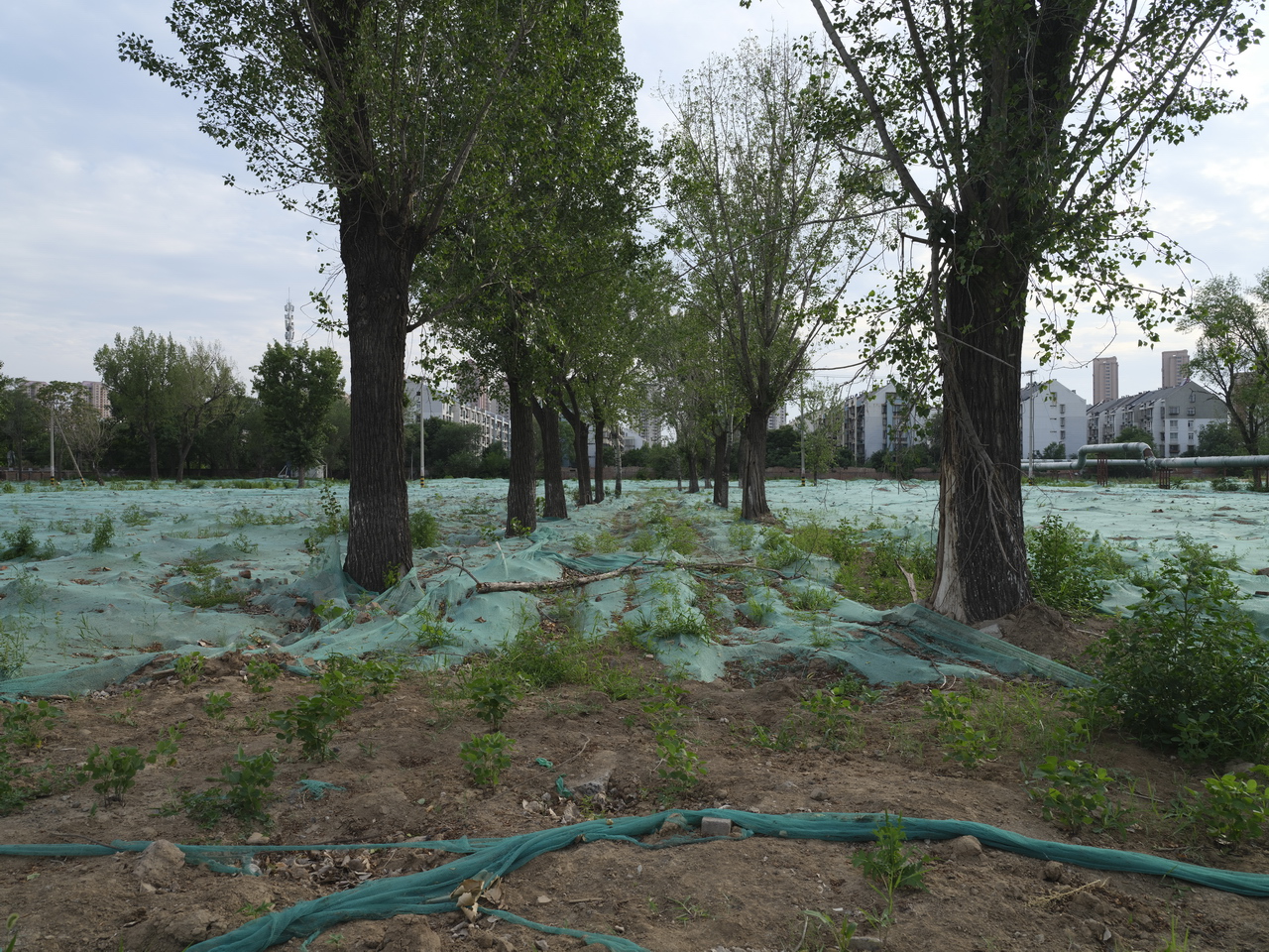 天津动力机厂老照片,天津动力机厂原厂址