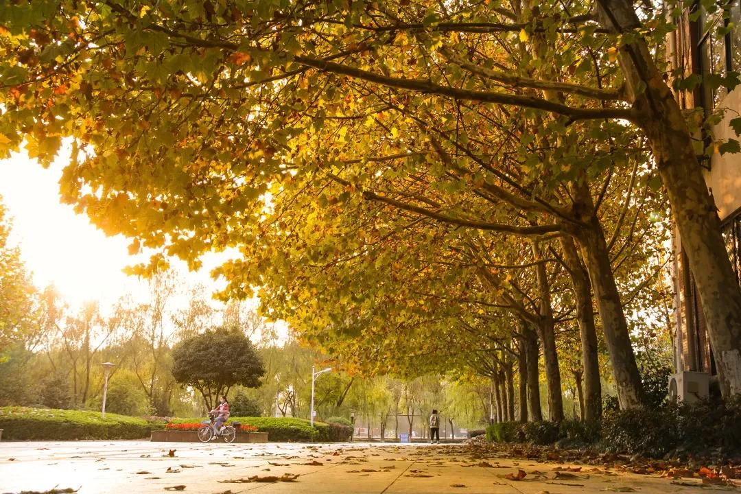 安徽13所一本大学名单,安徽省高校简介