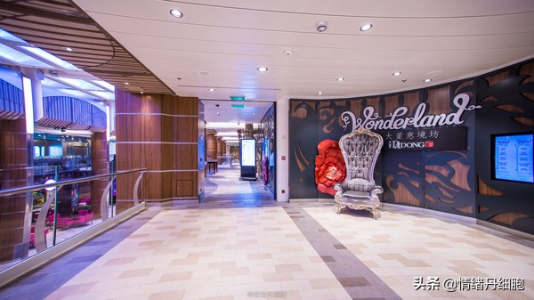 邮轮游选择哪个游轮好,邮轮旅游全攻略公主号