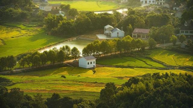 好评多的经典种田文小说推荐,五本适合闲暇时间看的种田文小说