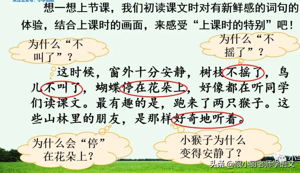 大青树下的小学必会知识点,大青树下的小学必考知识点