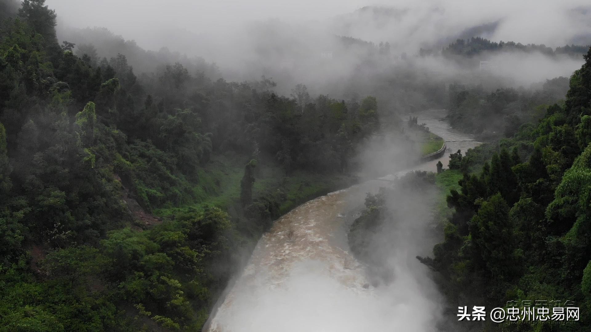 忠县白石水库最新消息,丹江口水库开闸泄洪大场面